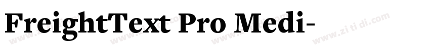 FreightText Pro Medi字体转换
